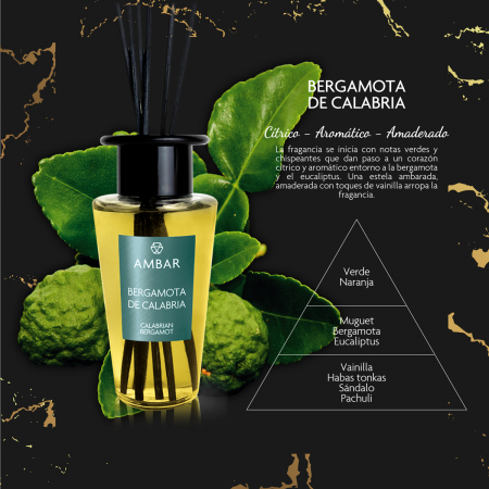 Mikado Premium Bergamota de Calabria Ambar Perfums